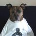 Profile Picture of Steve Winsor (@steve.winsor.585) on Facebook