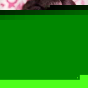 Profile Picture of Jenna Tom (@jenna.fish) on Myspace