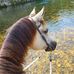 Profile Picture of Cheryl Spickert Crossland (@cheryl.spickertcrossland) on Facebook