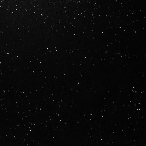 Profile Picture of Michelle Araceli (@michellearaceli) on Tiktok