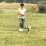 Profile Picture of Robin Tyner (@rdtyner1) on Instagram