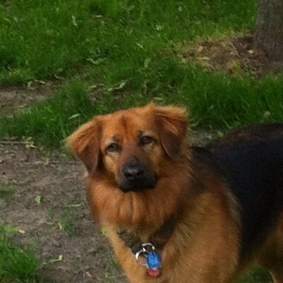 Profile Picture of Erik Huebner (@swingline14) on Twitter