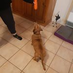 Profile Picture of russell vincent (@russellvincent2212) on Instagram