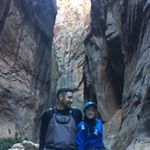 Kyle Thom - Instagram Profile Picture of Kyle Thom (@rootsdownkyle) on Instagram