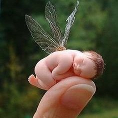 Profile Picture of Kim Hutcheson (@KimHutcheson6) on Twitter