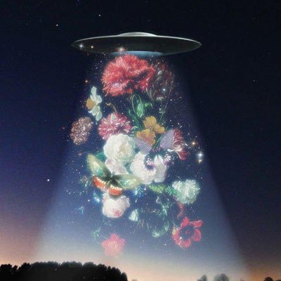 Profile Picture of Dusk Till Dawn (@IadoreZaynMalik) on Twitter