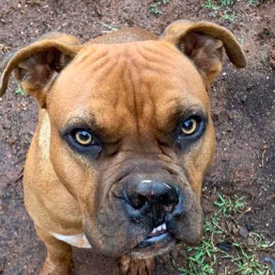 Profile Picture of Paula Johnstone (@PaulaJo77044102) on Twitter