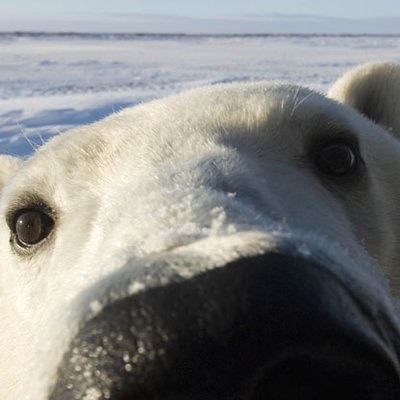 Profile Picture of Adrian Kent (@AidzMTB) on Twitter