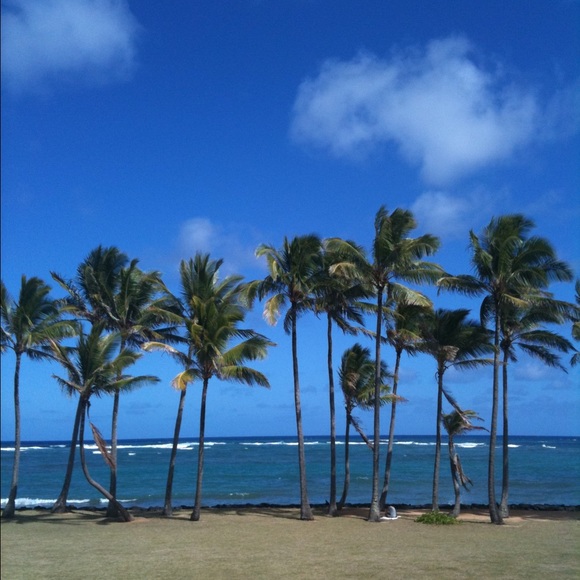 Profile Picture of Anina Adelfio (@aadelfio) on Poshmark