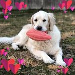 Nancy Dota Pollock - Instagram Profile Picture of Nancy Dota Pollock (@nancpantss724) on Instagram