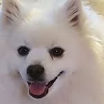 Profile Picture of Marilyn Krause (@krausemarilyn) on Instagram