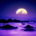 Profile Picture of Wilma Cordier (@wilma.cordier.12) on Facebook