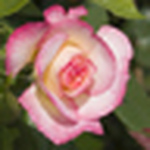 Profile Picture of Paul Garbutt (@paulgarphotos) on Flickr