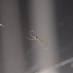 Profile Picture of Matthew Cupelli (@matthew cupelli) on Flickr