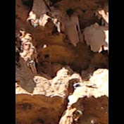 Profile Picture of Robert Holub (@robertholub) on Youtube