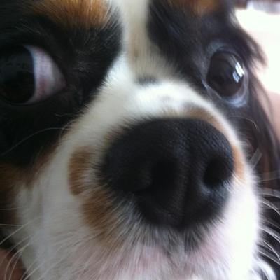 Profile Picture of Nick Evert (@NickEvert1) on Twitter