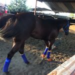 Profile Picture of Roberto (@roberto_godinez0) on Instagram