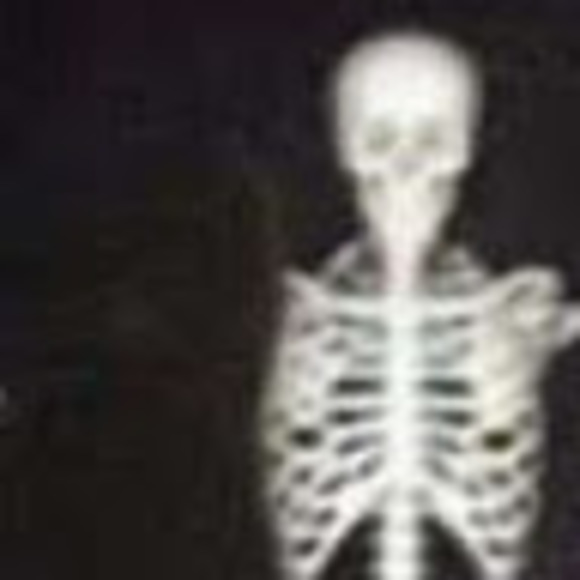 Profile Picture of Seth Copeman (@sethcopeman) on Poshmark