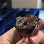 Profile Picture of Michel Klatt (@mike_klatt1100) on Instagram