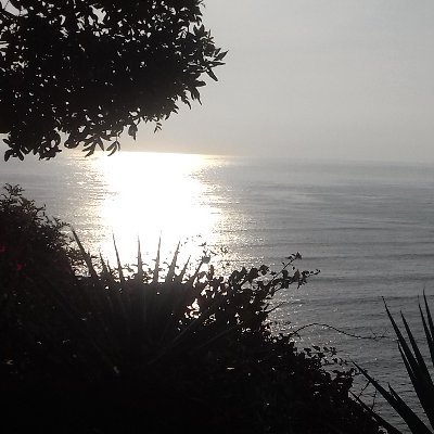 Profile Picture of Fasael Carlos Rubalcaba Badrauda (@FasaelB) on Twitter