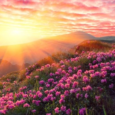 Profile Picture of Fernandes Yvette (@FernandesYvett1) on Twitter