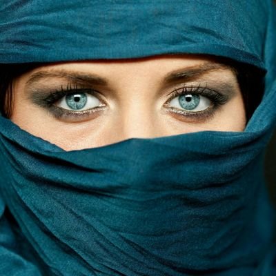 Profile Picture of Farkhondeh (@FarkhondehN) on Twitter