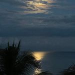 Stephanie Lubeck Revere - Instagram Profile Picture of Stephanie Lubeck Revere (@stephrevere) on Instagram