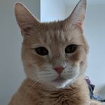 Profile Picture of Matthew Echert (@mgechert) on Instagram