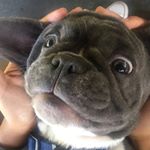 Profile Picture of Melba Vasquez (@vasquez_melba) on Instagram