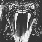 Profile Picture of Justin Flemming (@justin.flemming.336) on Instagram