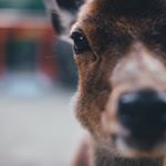 Profile Picture of 黄沛琪 (@mimifeng_) on Instagram