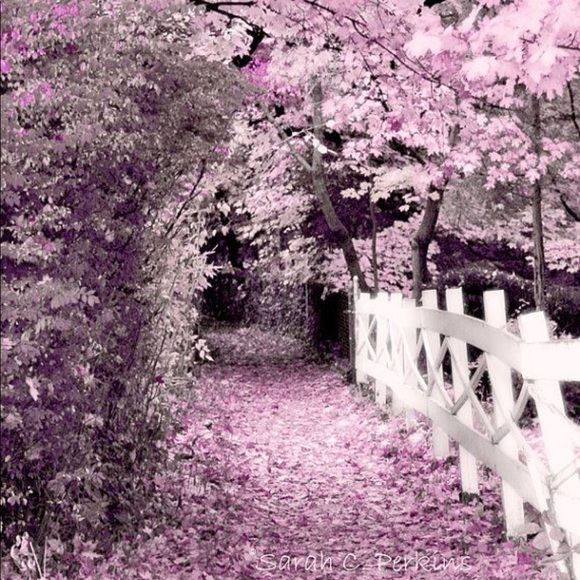 Profile Picture of Arvand Basti (@arvand_basti) on Poshmark