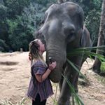 Profile Picture of Jenna Hancock (@ivyyislander) on Instagram