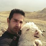 Profile Picture of PAYAM (@payamshahir) on Instagram