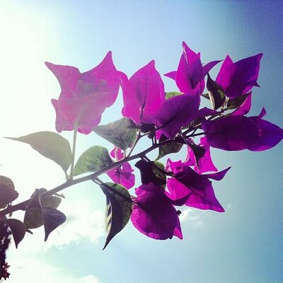 Profile Picture of Forest Claude (@ForestClaude448) on Twitter