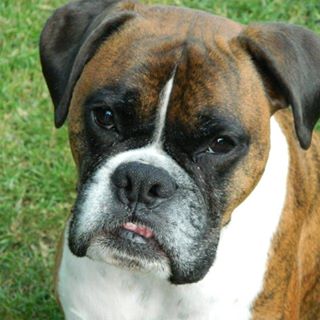 Profile Picture of Tommy Camfield (@tommy.camfield.71) on Facebook