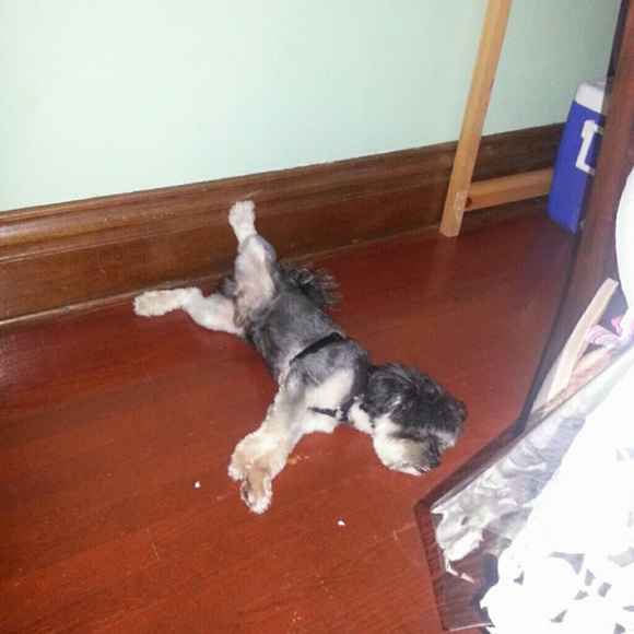 Profile Picture of Abraham Calderon (@abrahamc) on Poshmark