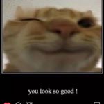 Profile Picture of randalldeespam (@randalldeespam) on Instagram