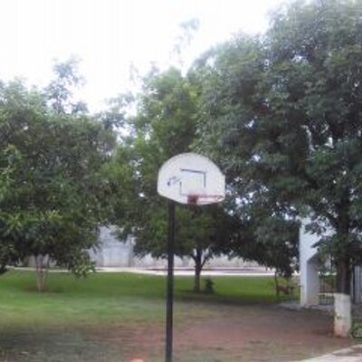 Profile Picture of Alex Saa (@alexsaa713) on Twitter