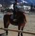 Profile Picture of Andrea Ebner (@andrea.ebner.1238) on Facebook
