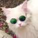 Profile Picture of Steven Benedict (@steven_benedict) on Pinterest