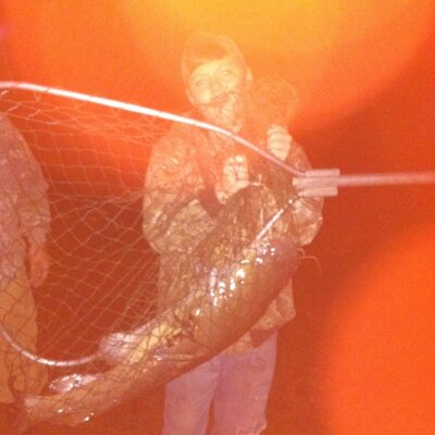 Brian Fannin - Twitter Profile Picture of Brian Fannin (@gensinghunter) on Twitter