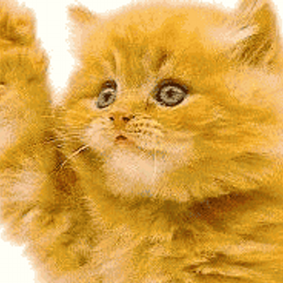 Profile Picture of David Davalos (@daviddavalos13) on Twitter