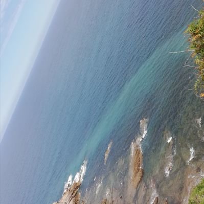 Profile Picture of Enny Isabel Martinez Peraza (@enny_isabel) on Twitter