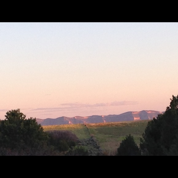 Profile Picture of Clare Dahlhoff (@claredahl) on Poshmark