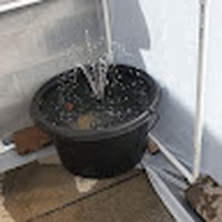 Profile Picture of Gardening Jodi Star (@gardening-jodi-star) on Quora