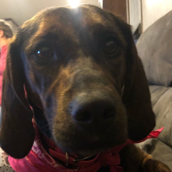 Profile Picture of James Darling (@jamesdarling318) on Poshmark