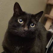 Profile Picture of Nicholas Burch (@nicholasburch334) on Youtube