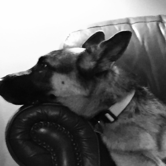 Profile Picture of Renee Cicerone (@rcicerone) on Poshmark