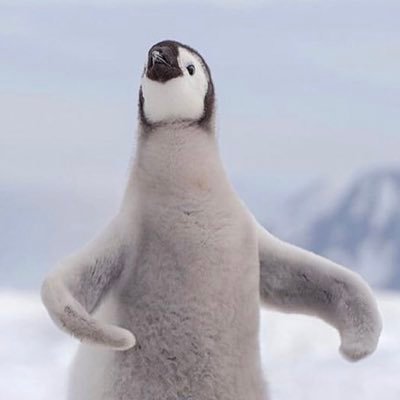 Profile Picture of Jui Yang Hsu (@JuiYangHsu1) on Twitter